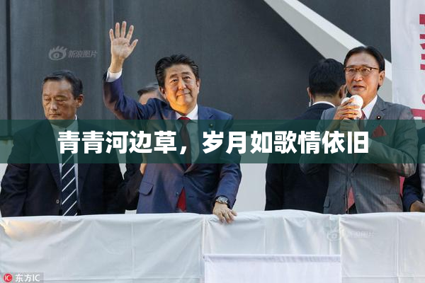 青青河边草，岁月如歌情依旧