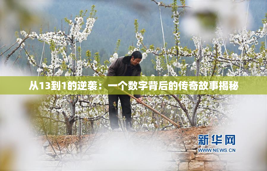 从13到1的逆袭：一个数字背后的传奇故事揭秘