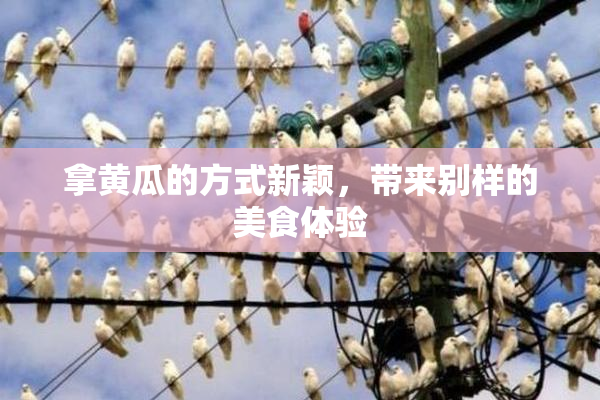 拿黄瓜的方式新颖，带来别样的美食体验