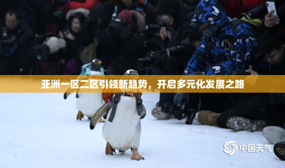 亚洲一区二区引领新趋势，开启多元化发展之路