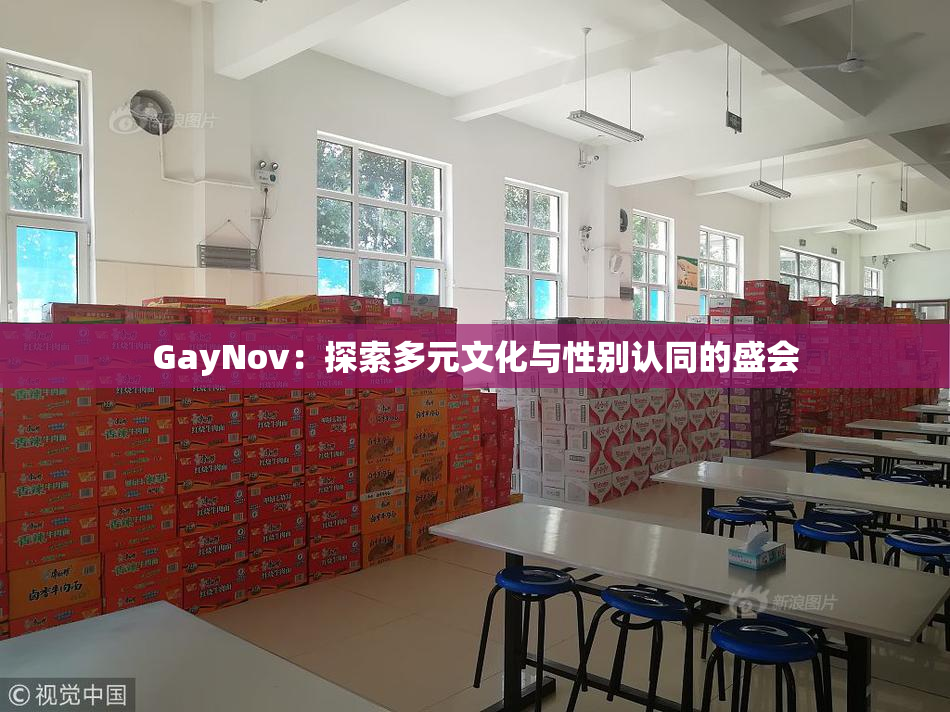 GayNov：探索多元文化与性别认同的盛会