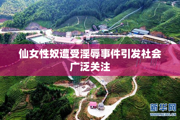 仙女性奴遭受淫辱事件引发社会广泛关注