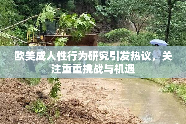 欧美成人性行为研究引发热议，关注重重挑战与机遇