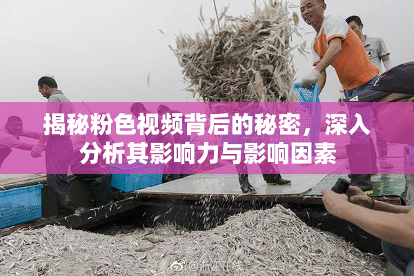 揭秘粉色视频背后的秘密，深入分析其影响力与影响因素