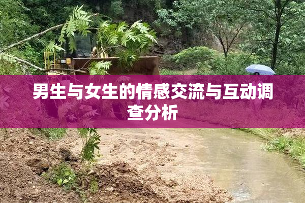 男生与女生的情感交流与互动调查分析