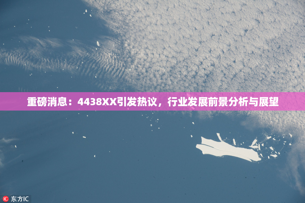 重磅消息：4438XX引发热议，行业发展前景分析与展望