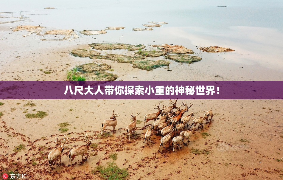 八尺大人带你探索小重的神秘世界！