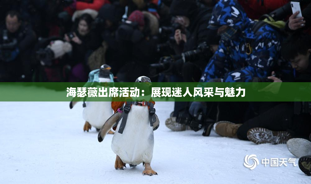 海瑟薇出席活动：展现迷人风采与魅力