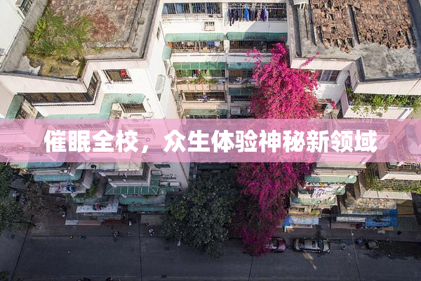催眠全校，众生体验神秘新领域
