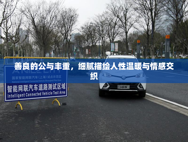 善良的公与丰重，细腻描绘人性温暖与情感交织