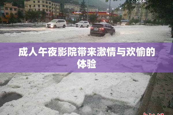 成人午夜影院带来激情与欢愉的体验