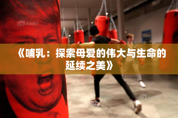 《哺乳：探索母爱的伟大与生命的延续之美》