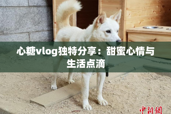 心糖vlog独特分享：甜蜜心情与生活点滴