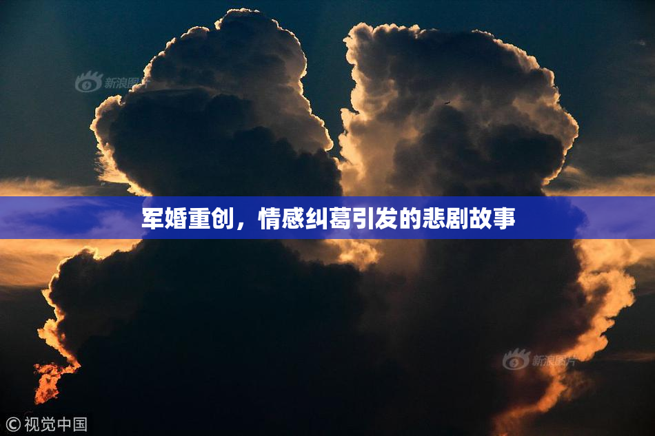 军婚重创，情感纠葛引发的悲剧故事