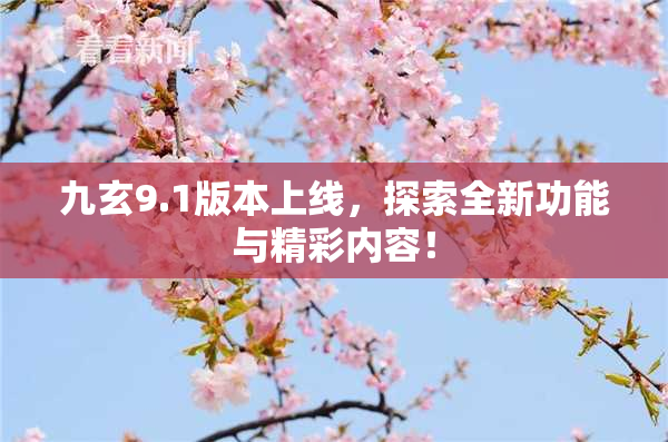 九玄9.1版本上线，探索全新功能与精彩内容！