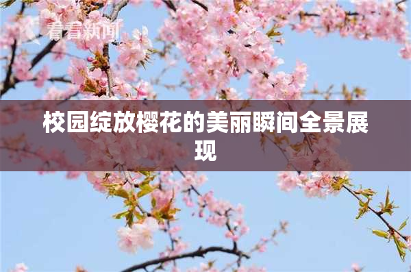 校园绽放樱花的美丽瞬间全景展现