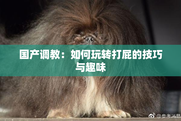 国产调教：如何玩转打屁的技巧与趣味