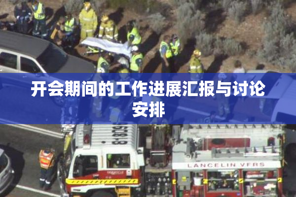 开会期间的工作进展汇报与讨论安排