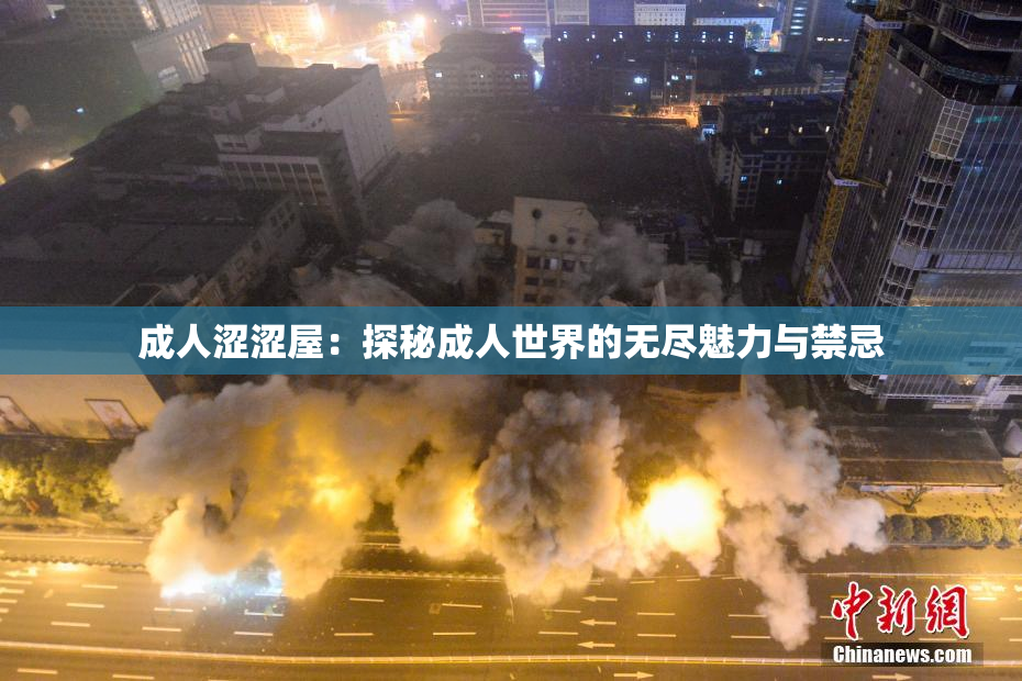 成人涩涩屋：探秘成人世界的无尽魅力与禁忌