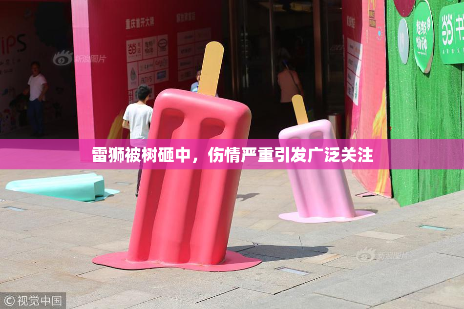 雷狮被树砸中，伤情严重引发广泛关注