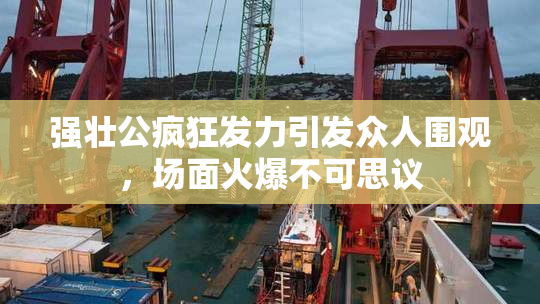 强壮公疯狂发力引发众人围观，场面火爆不可思议