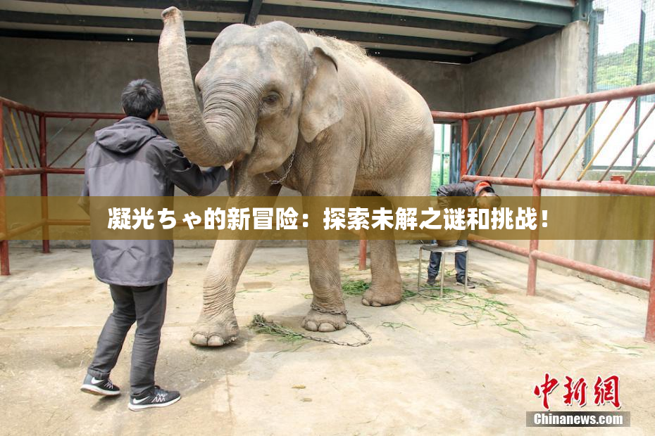 凝光ちゃ的新冒险：探索未解之谜和挑战！