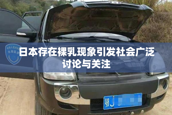 日本存在裸乳现象引发社会广泛讨论与关注