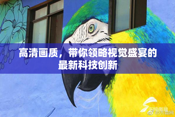 高清画质，带你领略视觉盛宴的最新科技创新