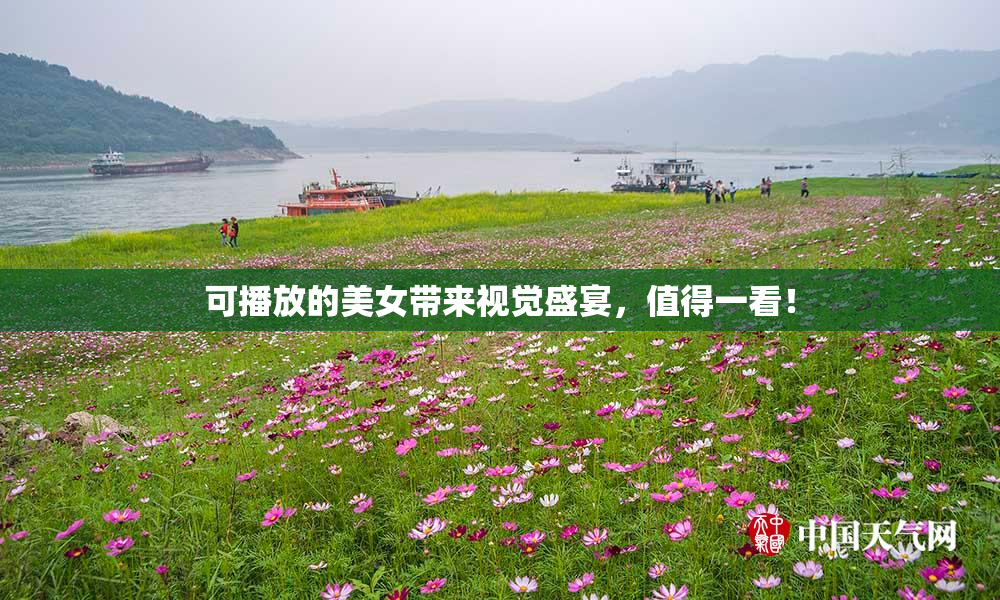 可播放的美女带来视觉盛宴，值得一看！
