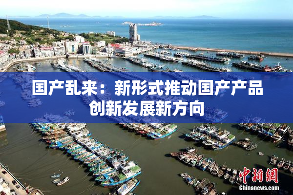 国产乱来：新形式推动国产产品创新发展新方向