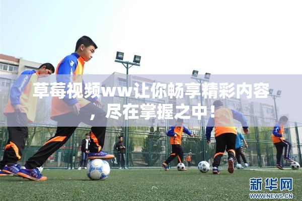 草莓视频ww让你畅享精彩内容，尽在掌握之中！