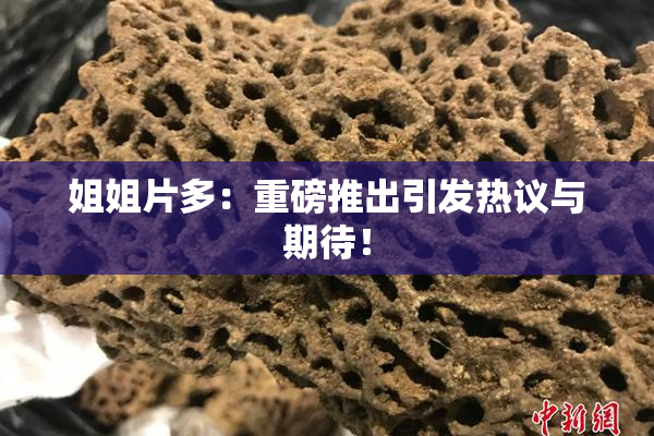 姐姐片多：重磅推出引发热议与期待！