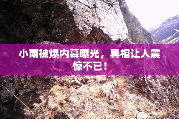 小南被爆内幕曝光，真相让人震惊不已！