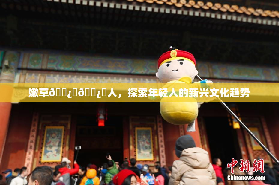 嫩草🌿‌🌿‌人，探索年轻人的新兴文化趋势