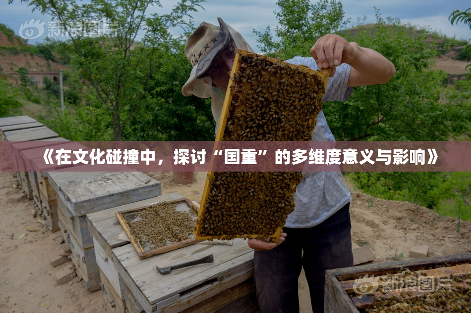 《在文化碰撞中，探讨“国重”的多维度意义与影响》