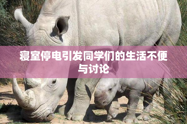 寝室停电引发同学们的生活不便与讨论