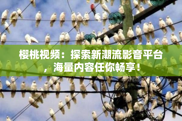 樱桃视频：探索新潮流影音平台，海量内容任你畅享！