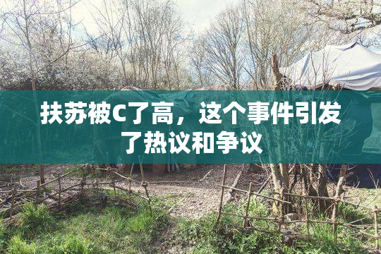 扶苏被C了高，这个事件引发了热议和争议