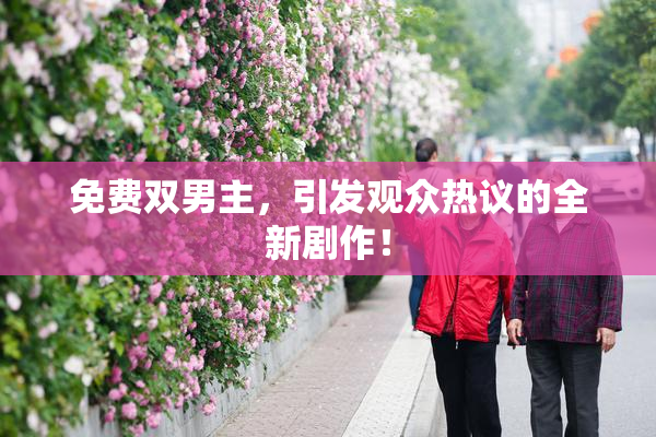 免费双男主，引发观众热议的全新剧作！