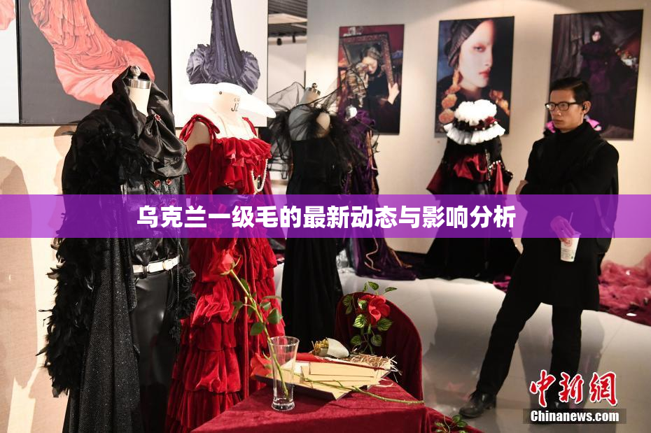 乌克兰一级毛的最新动态与影响分析