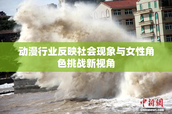 动漫行业反映社会现象与女性角色挑战新视角