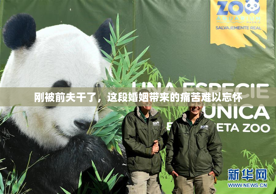 刚被前夫干了，这段婚姻带来的痛苦难以忘怀