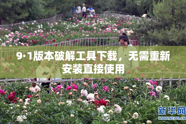 9·1版本破解工具下载，无需重新安装直接使用