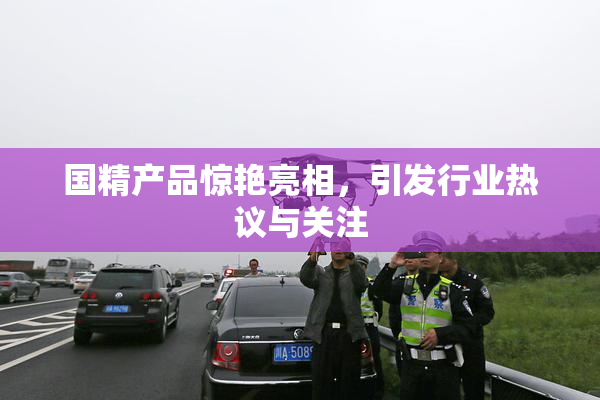 国精产品惊艳亮相，引发行业热议与关注