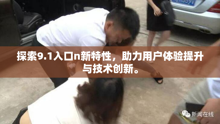 探索9.1入口n新特性，助力用户体验提升与技术创新。