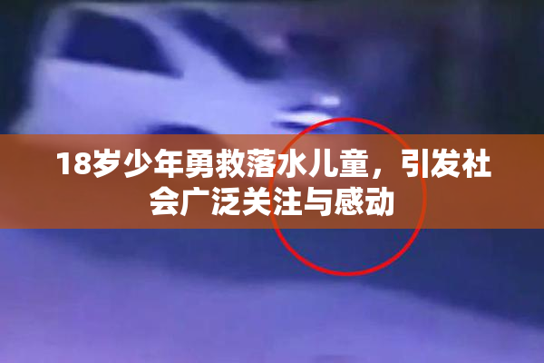 18岁少年勇救落水儿童，引发社会广泛关注与感动