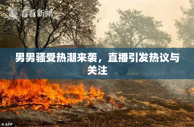 男男骚受热潮来袭，直播引发热议与关注