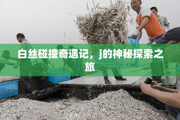 白丝碰撞奇遇记，j的神秘探索之旅