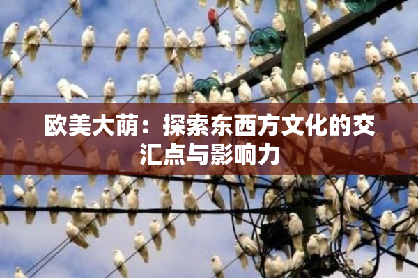 欧美大荫：探索东西方文化的交汇点与影响力