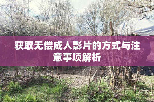 获取无偿成人影片的方式与注意事项解析